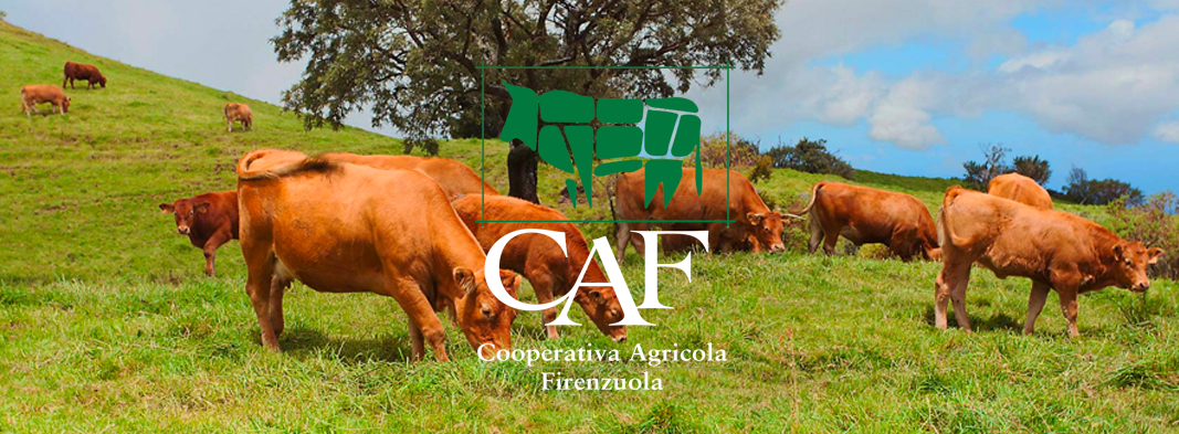 cooperativa-agricola-firenzuola-777_f
