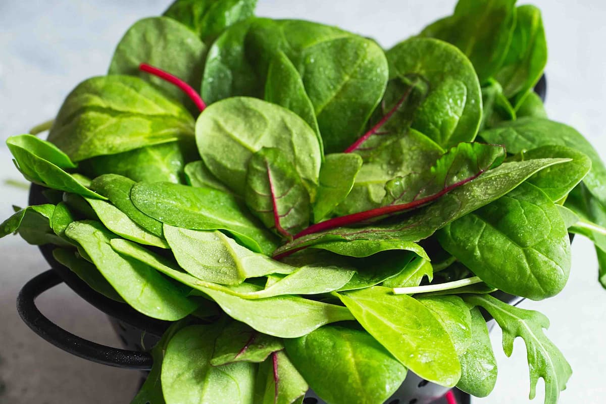 spinaci erbette fresche
