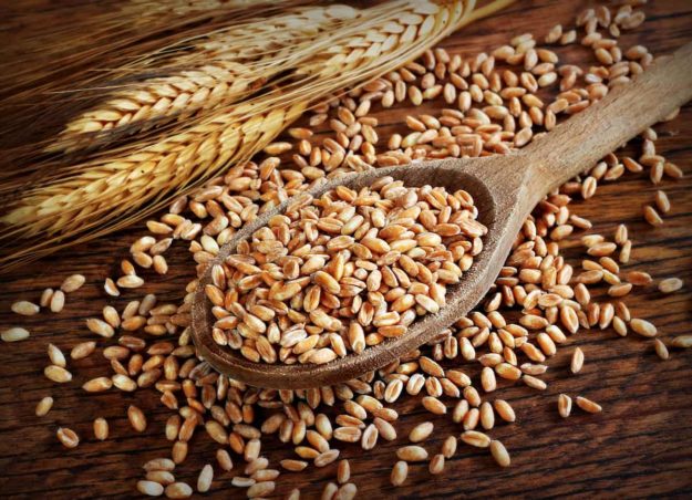 farro farro